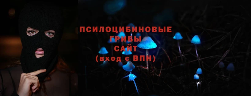 купить  сайты  Ижевск  Галлюциногенные грибы Cubensis 